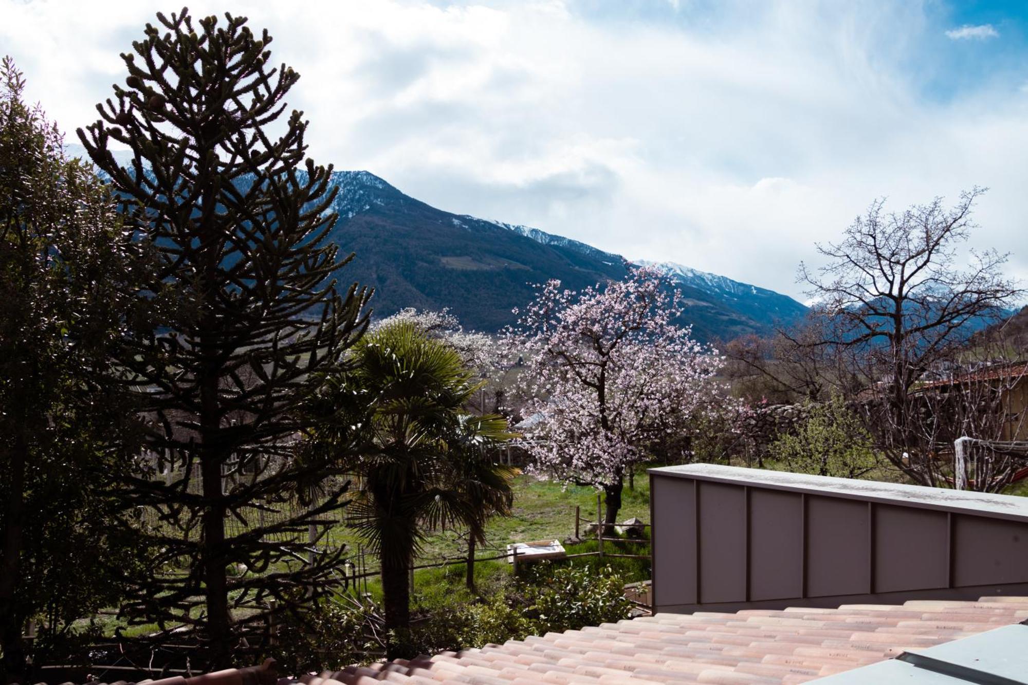 Garni Unterwegguetl Bed & Breakfast Naturns Bagian luar foto