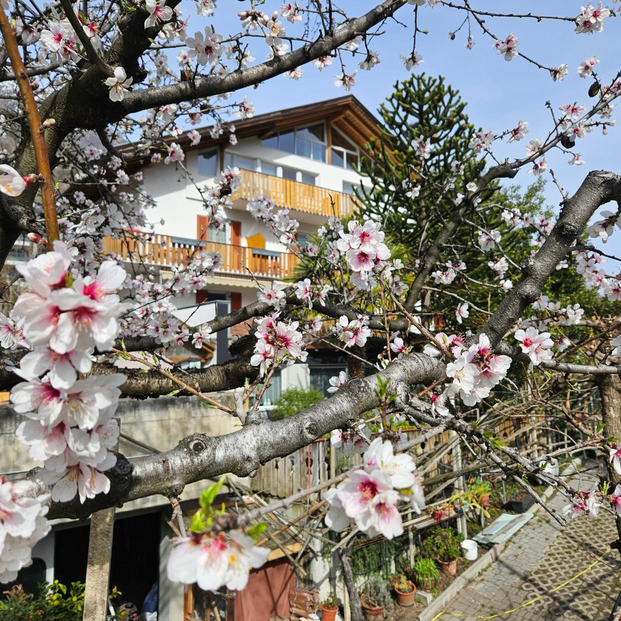 Garni Unterwegguetl Bed & Breakfast Naturns Bagian luar foto